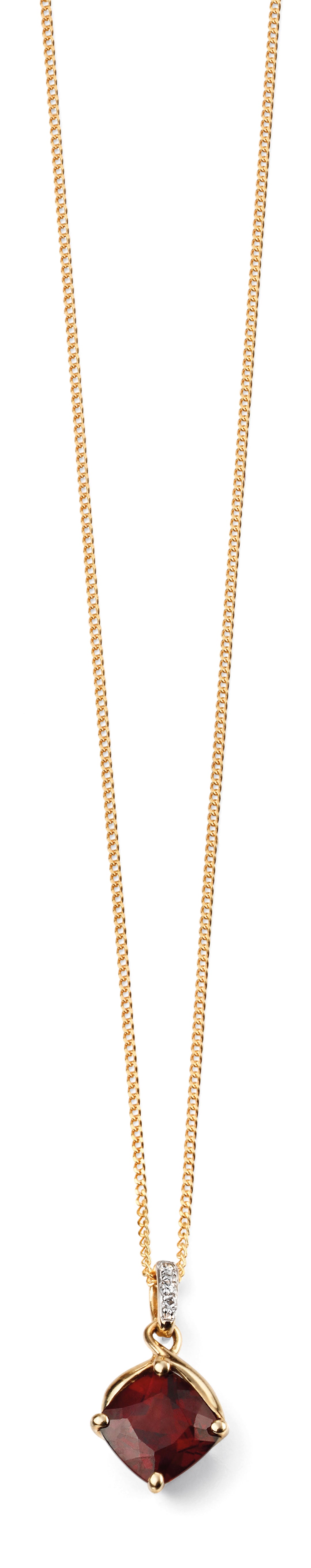 9ct Garnet and Diamond Pendant and Chain