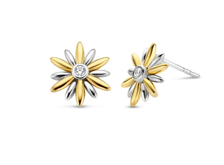 Ti Sento Gold Plated Earrings