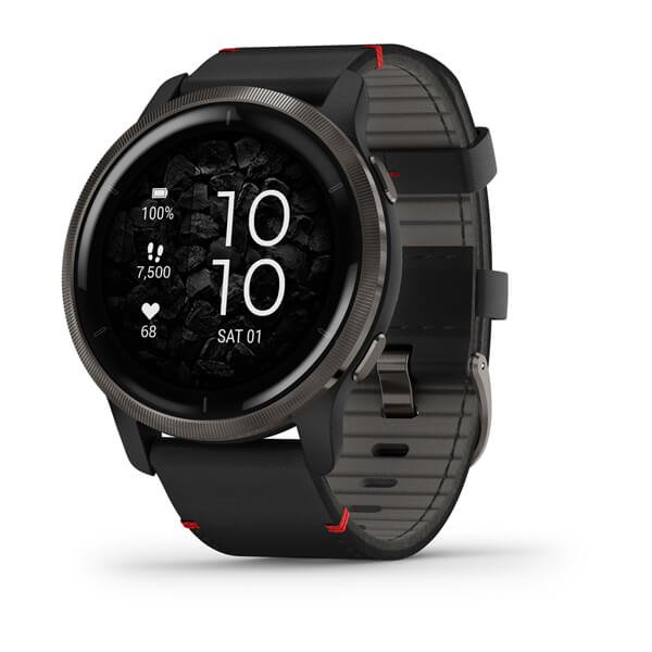 Garmin Venu 2 Smart Watch